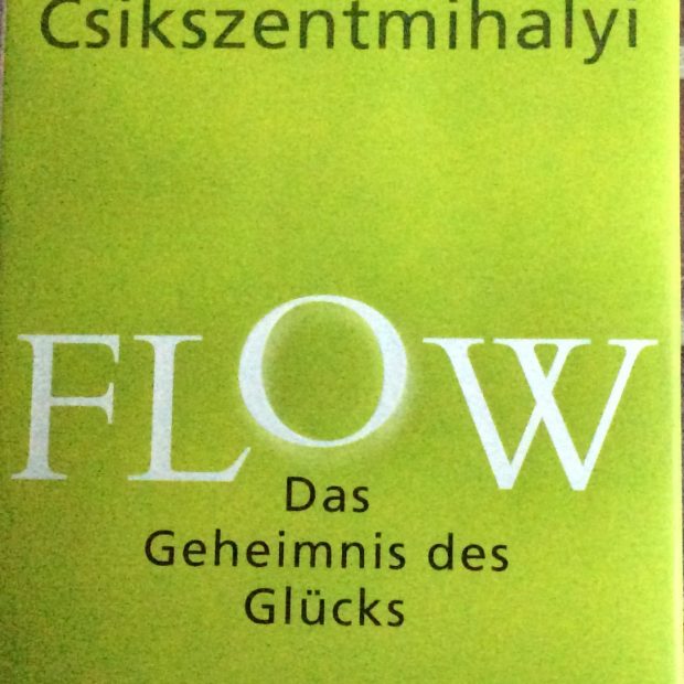 Flow von Mihaly Csikszentmihalyi