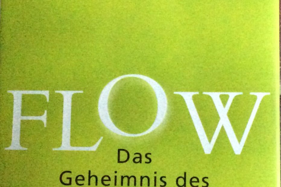 Flow von Mihaly Csikszentmihalyi