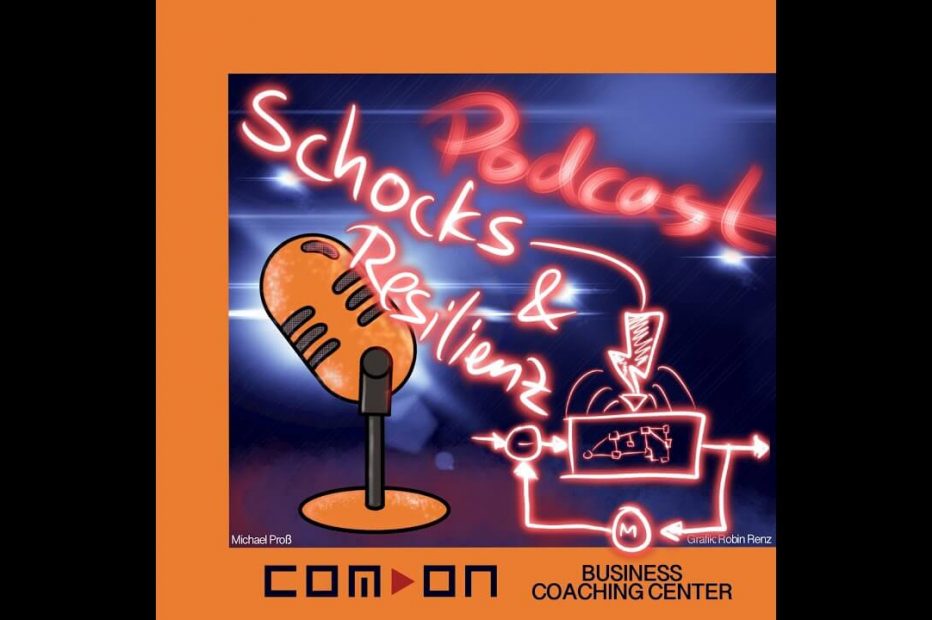 Schocks und Resilienz