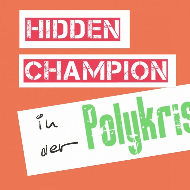 Hidden Champions als Vorbild in Polykrisen: Strategien für nachhaltigen Erfolg