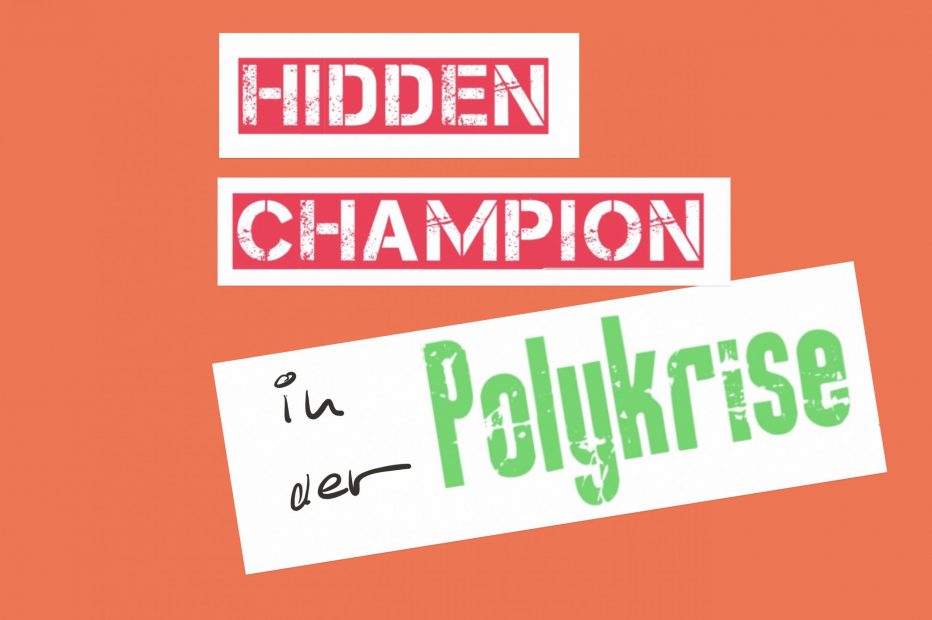 Hidden Champions als Vorbild in Polykrisen: Strategien für nachhaltigen Erfolg