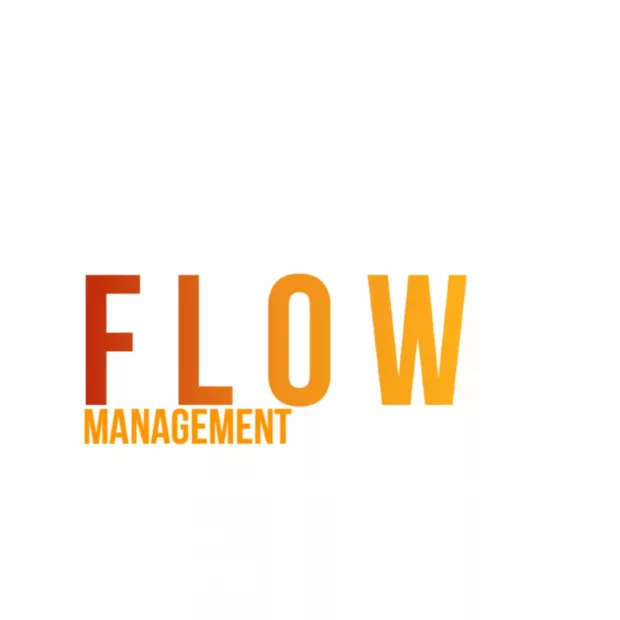 Flow-Management: So steigerst Du Performance und Motivation im Team